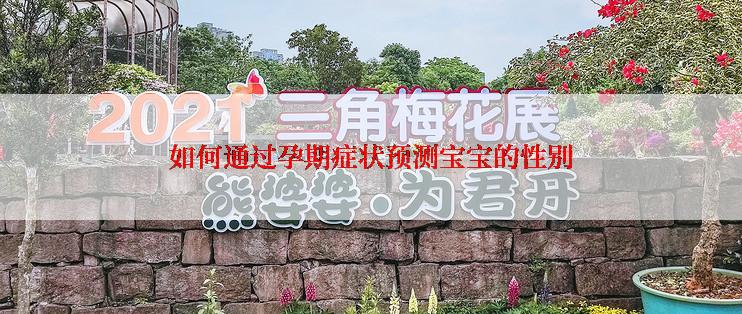 如何通过孕期症状预测宝宝的性别