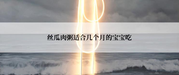 丝瓜肉粥适合几个月的宝宝吃