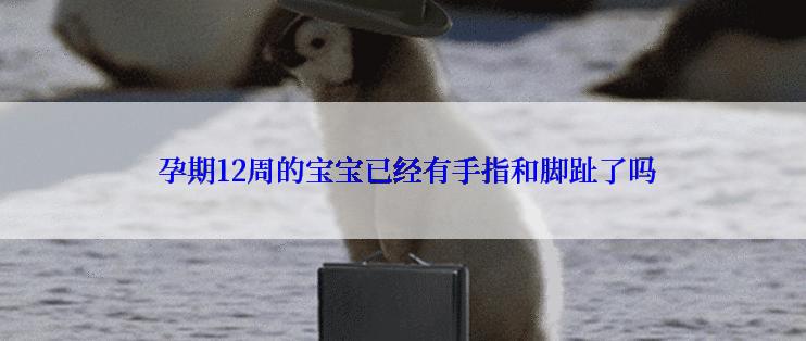  孕期12周的宝宝已经有手指和脚趾了吗