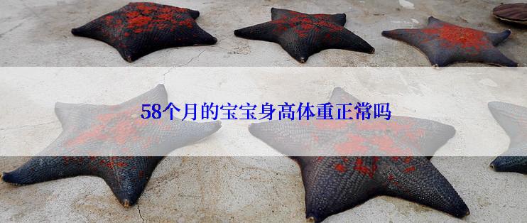  58个月的宝宝身高体重正常吗