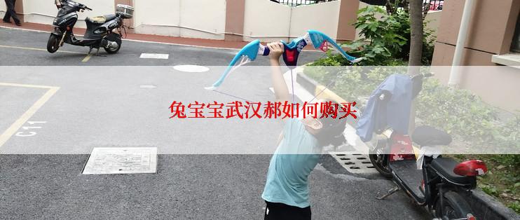  兔宝宝武汉郝如何购买