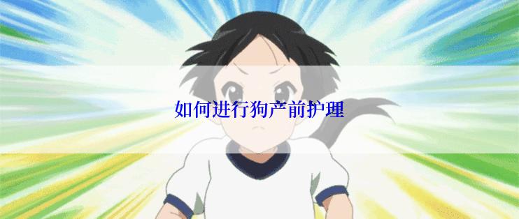 如何进行狗产前护理
