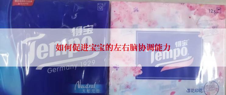 如何促进宝宝的左右脑协调能力