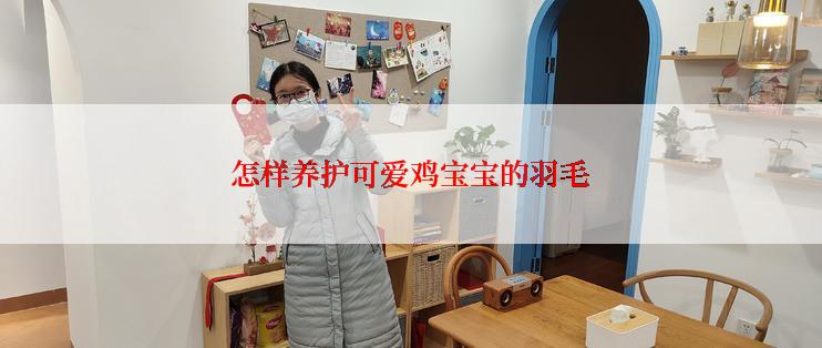 怎样养护可爱鸡宝宝的羽毛