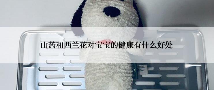 山药和西兰花对宝宝的健康有什么好处