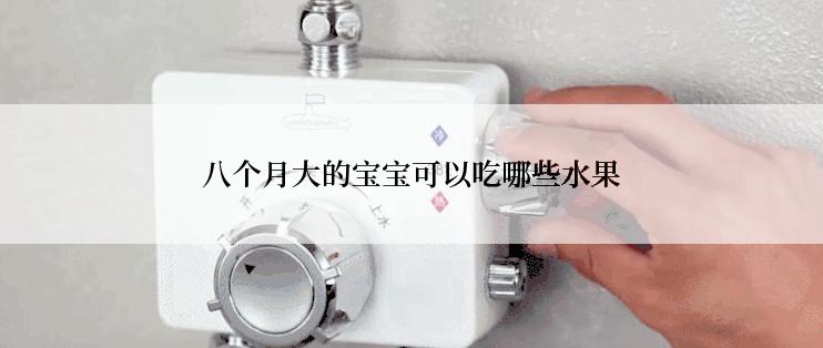 八个月大的宝宝可以吃哪些水果