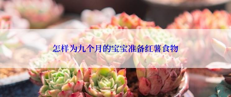 怎样为九个月的宝宝准备红薯食物