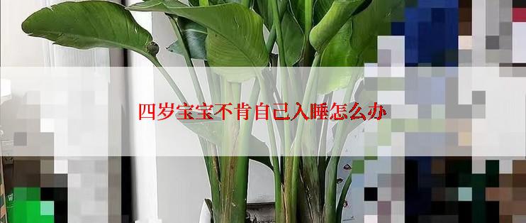 四岁宝宝不肯自己入睡怎么办