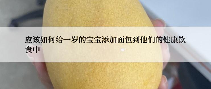 应该如何给一岁的宝宝添加面包到他们的健康饮食中