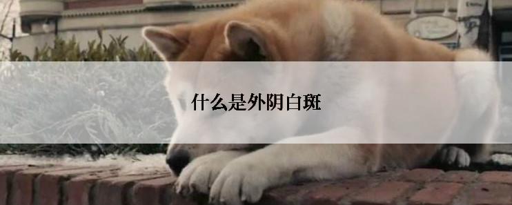 什么是外阴白斑