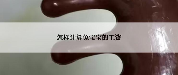 怎样计算兔宝宝的工资