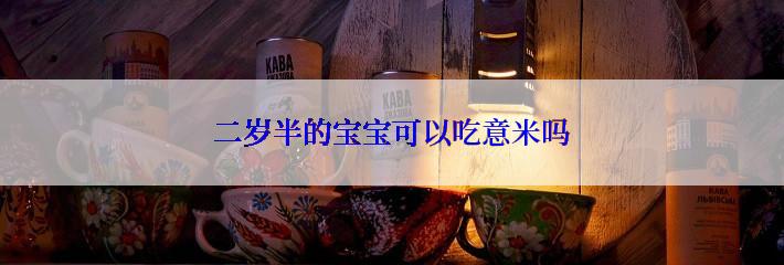 二岁半的宝宝可以吃意米吗