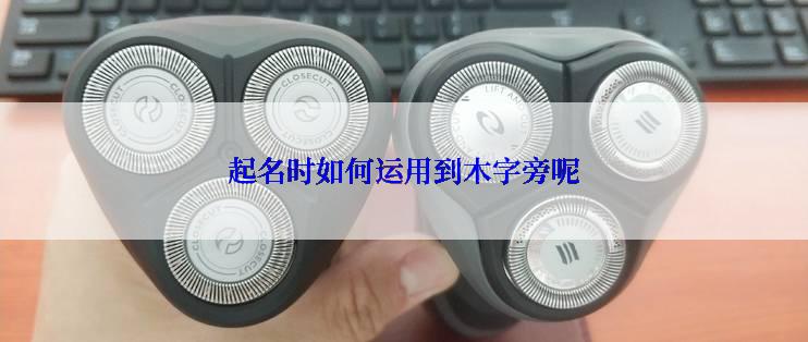 起名时如何运用到木字旁呢