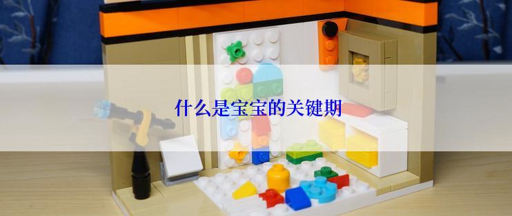  什么是宝宝的关键期