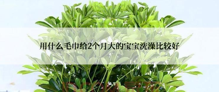 用什么毛巾给2个月大的宝宝洗澡比较好