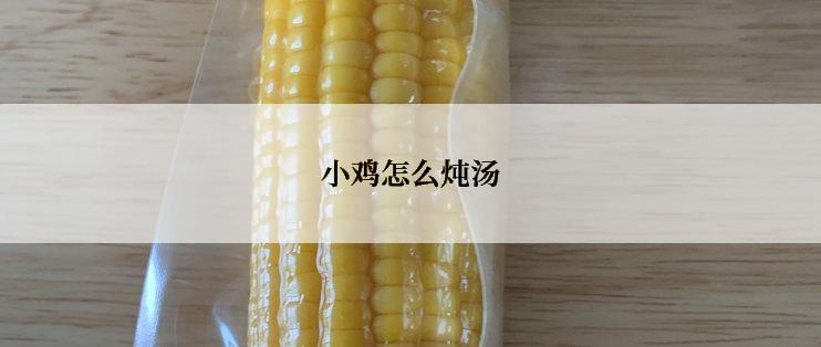 小鸡怎么炖汤