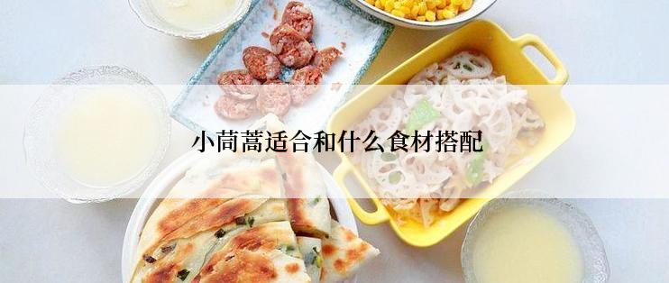  小茼蒿适合和什么食材搭配