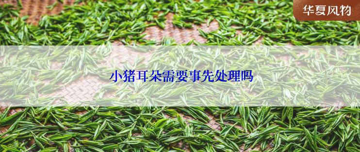  小猪耳朵需要事先处理吗