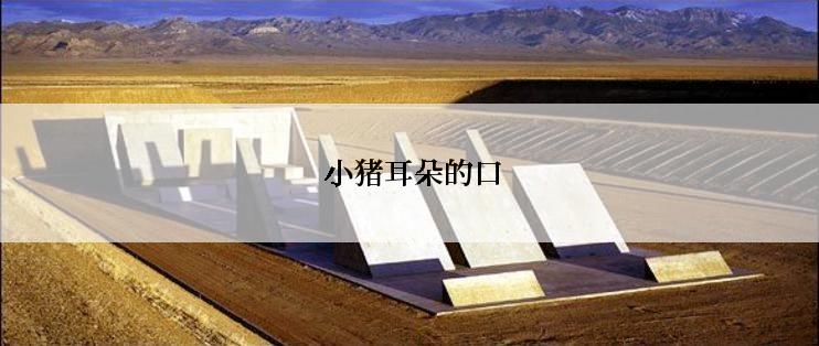  小猪耳朵的口