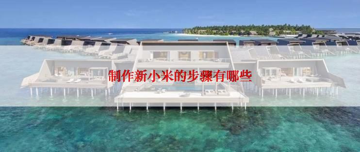 制作新小米的步骤有哪些
