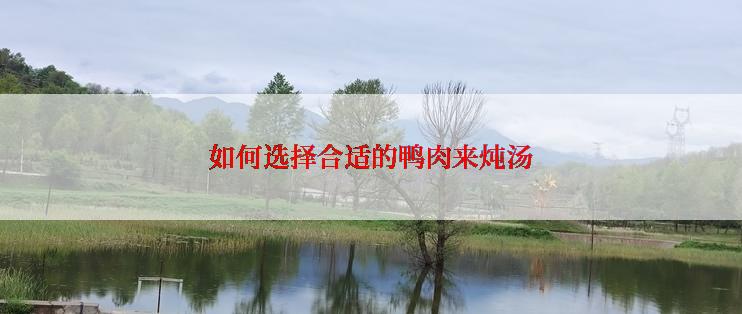 如何选择合适的鸭肉来炖汤