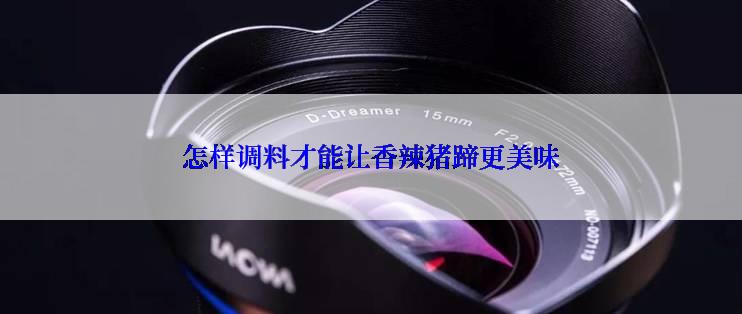 怎样调料才能让香辣猪蹄更美味