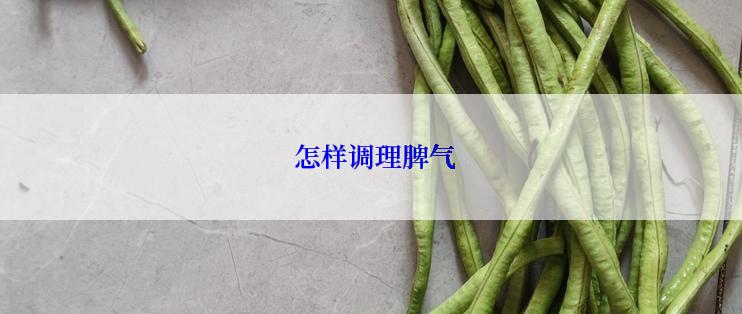  怎样调理脾气