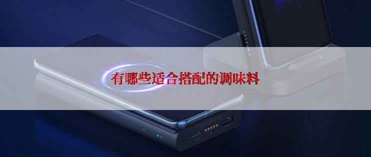 有哪些适合搭配的调味料