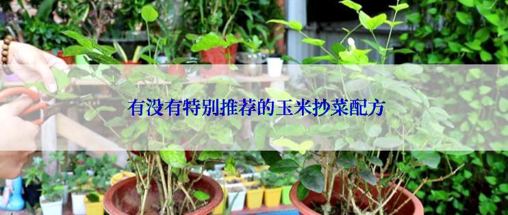  有没有特别推荐的玉米抄菜配方