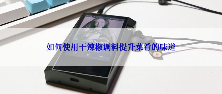 如何使用干辣椒调料提升菜肴的味道