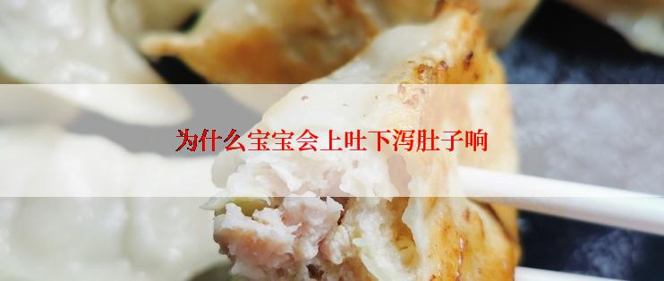 为什么宝宝会上吐下泻肚子响