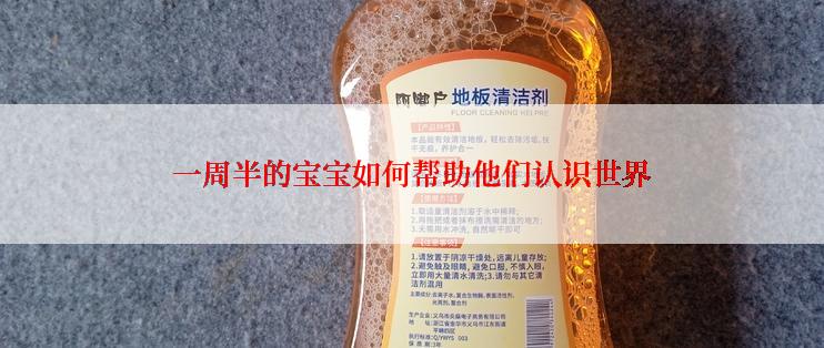 一周半的宝宝如何帮助他们认识世界
