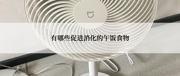 有哪些促进消化的午饭食物