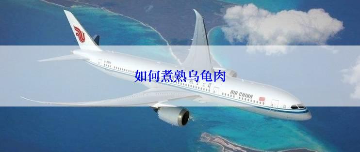 如何煮熟乌龟肉