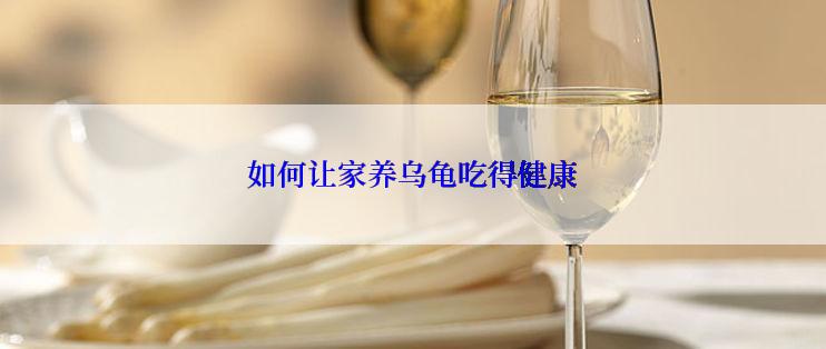 如何让家养乌龟吃得健康