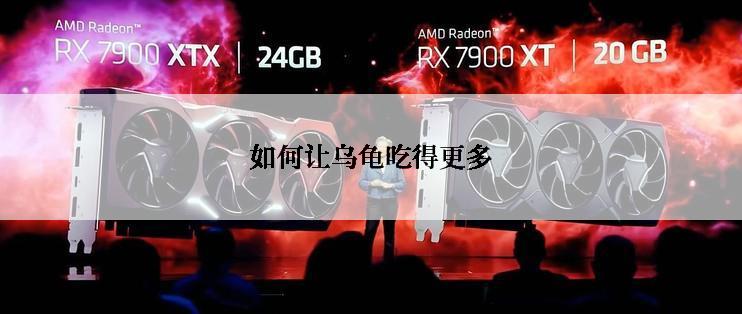 如何让乌龟吃得更多