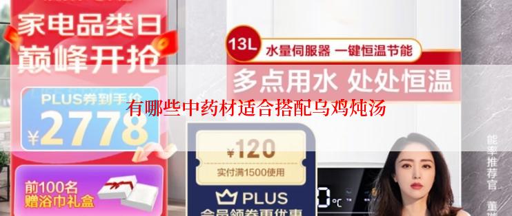 有哪些中药材适合搭配乌鸡炖汤