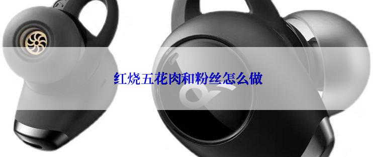  红烧五花肉和粉丝怎么做