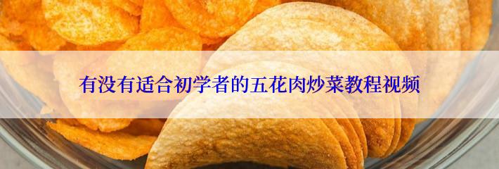 有没有适合初学者的五花肉炒菜教程视频