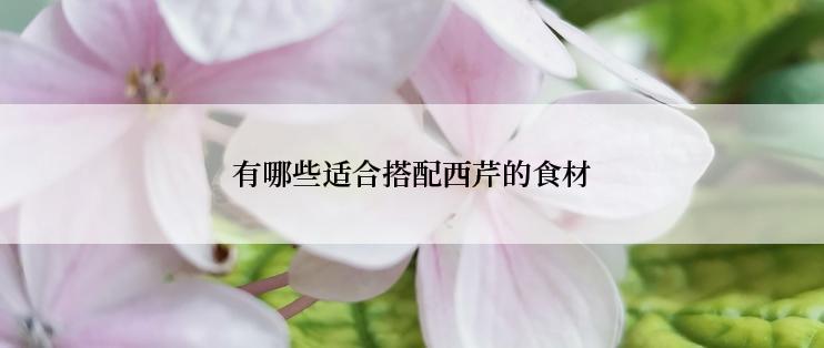 有哪些适合搭配西芹的食材
