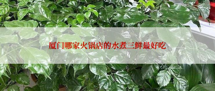 厦门哪家火锅店的水煮三鲜最好吃