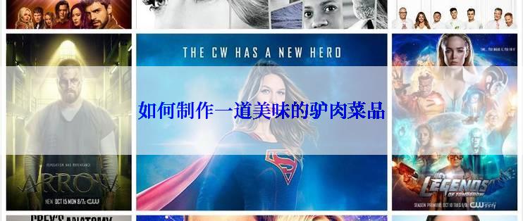 如何制作一道美味的驴肉菜品