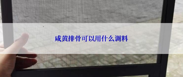 咸黄排骨可以用什么调料