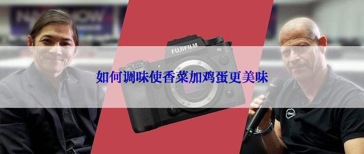 如何调味使香菜加鸡蛋更美味