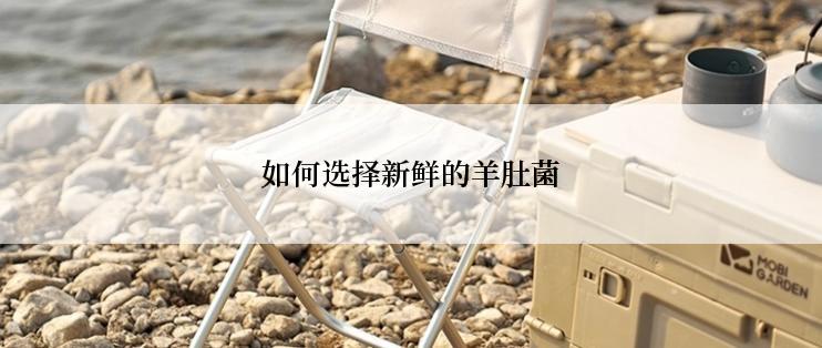 如何选择新鲜的羊肚菌