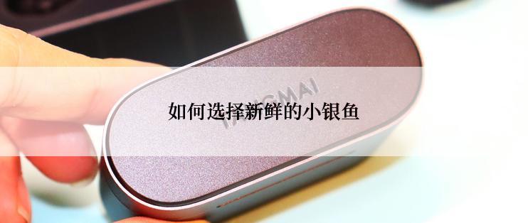 如何选择新鲜的小银鱼