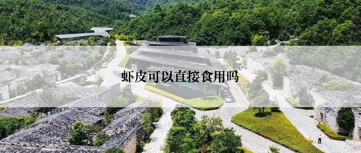 虾皮可以直接食用吗