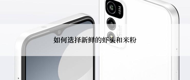 如何选择新鲜的虾头和米粉