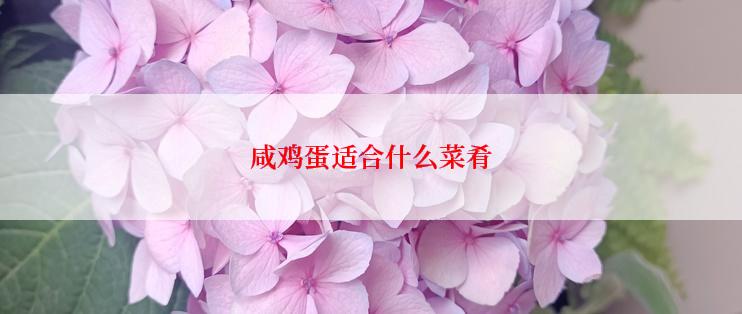 咸鸡蛋适合什么菜肴