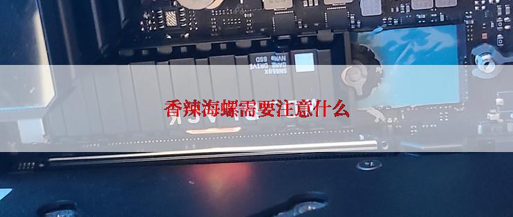 香辣海螺需要注意什么